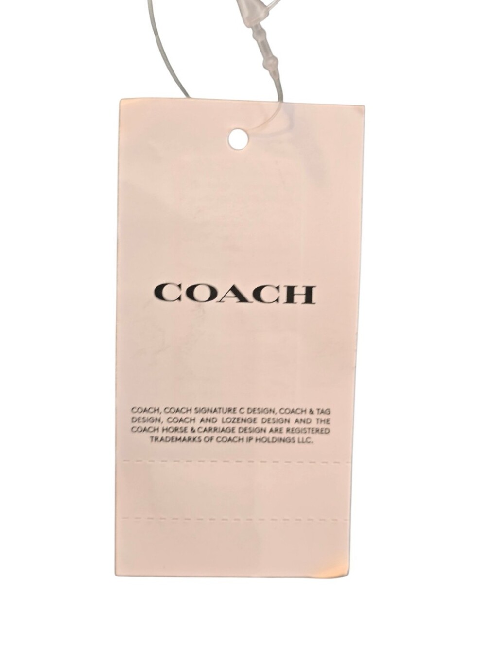 Coach Cashin Sage Green Blue Mini Crossbody Tote - Picture 13 of 14